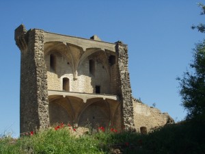 Chateauneufdu-Pape Castle Ruins