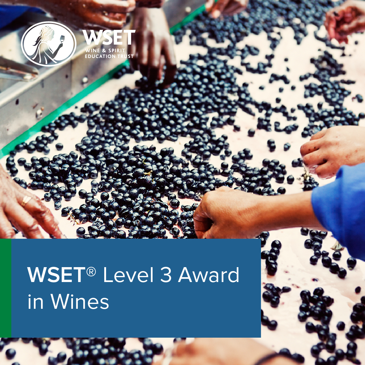 WSET Level 3 Award in Wine and Spirits
